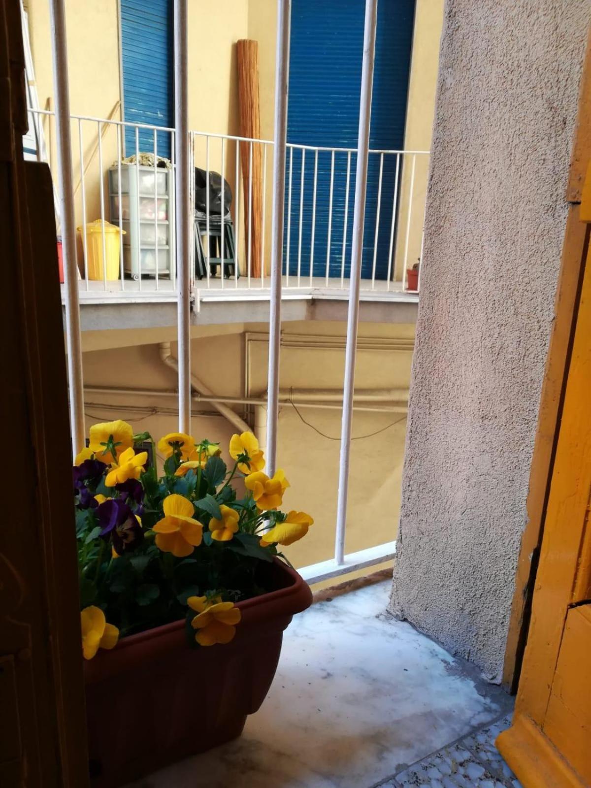 קטאניה The Yellow House מראה חיצוני תמונה